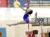В Белгороде соревнуются спортивные гимнасты из 10 городов - Изображение 4