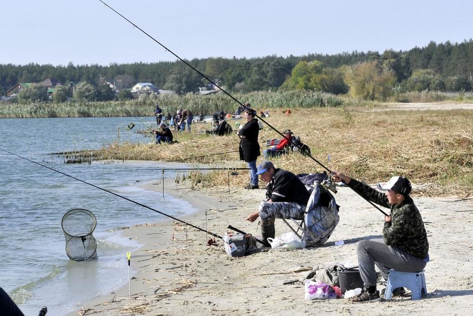 Под Белгородом прошёл семейный фестиваль рыбной ловли - Изображение 2