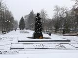 Белгород встречает первый снег - Изображение 4