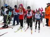  На «Лыжню России – 2016» вышли более 5 тысяч жителей Белгородской области  - Изображение 13