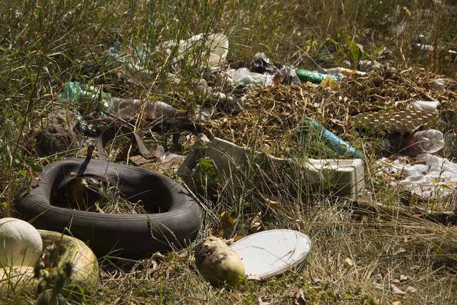 Грайворонская молодёжь очистит от мусора берега Ворсклы