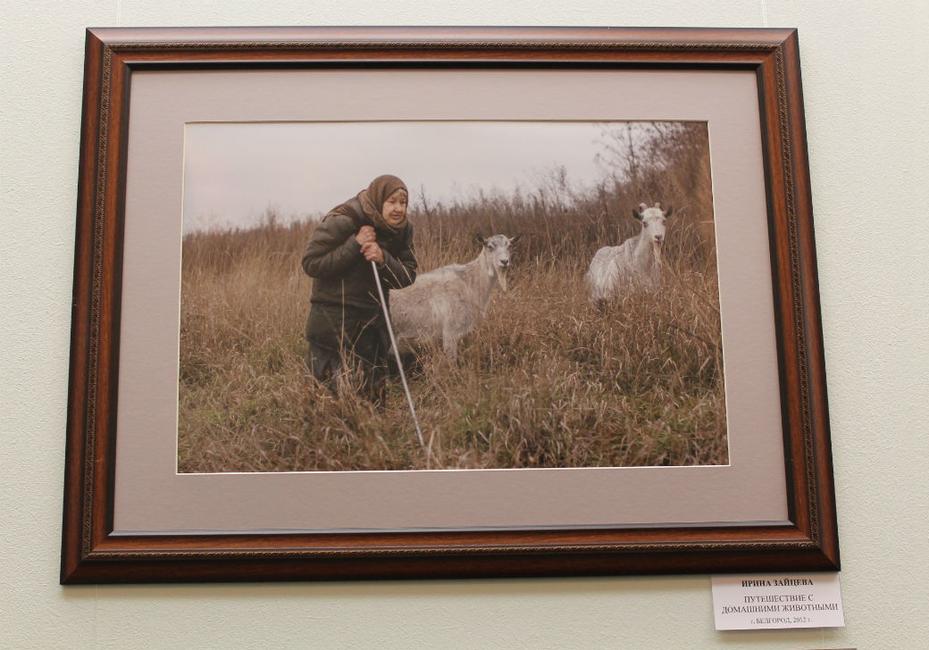Стали известны имена победителей белгородского фотоконкурса - Изображение 18