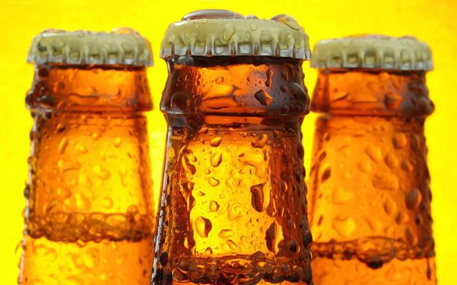 Белгородские власти предлагают запустить производство бутылочного пива