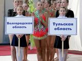 В Белгороде стартовал чемпионат ЦФО по художественной гимнастике - Изображение 11