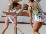 В Белгороде стартовал чемпионат ЦФО по художественной гимнастике - Изображение 8