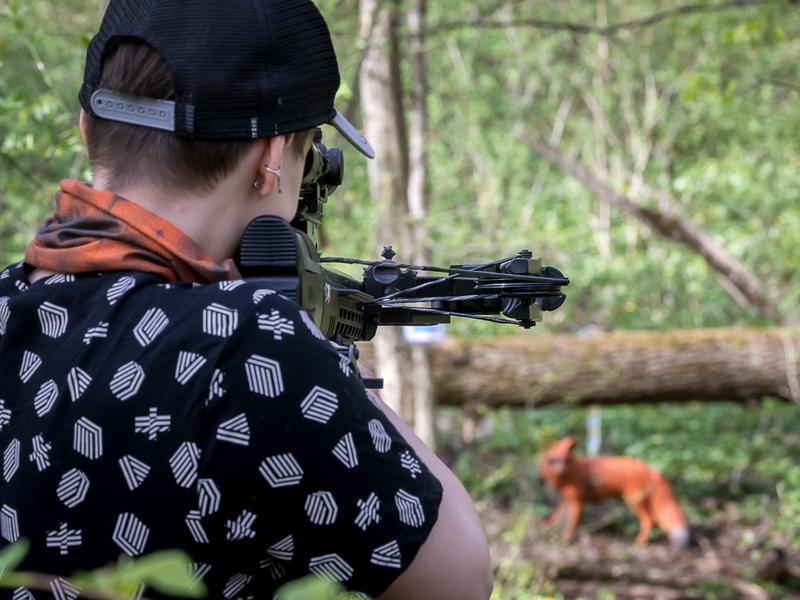 В Белгородской области прошёл турнир по 3D-стрельбе из лука (фоторепортаж)