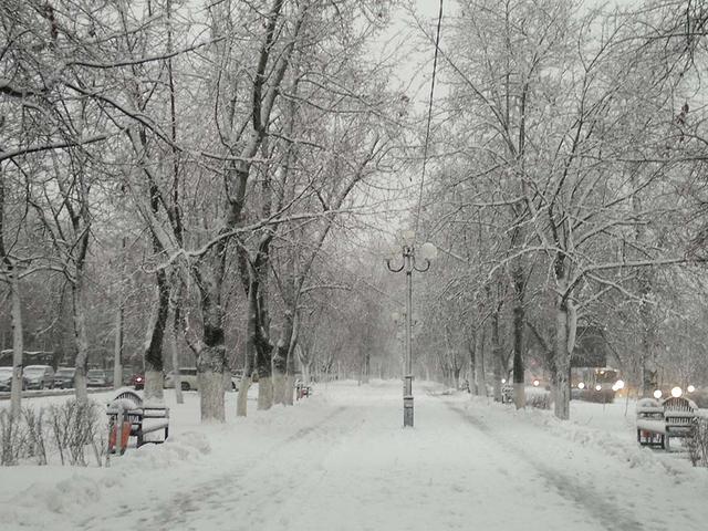Снежные выходные ожидаются в Белгородской области