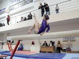 В Белгороде соревнуются спортивные гимнасты из 10 городов - Изображение 1