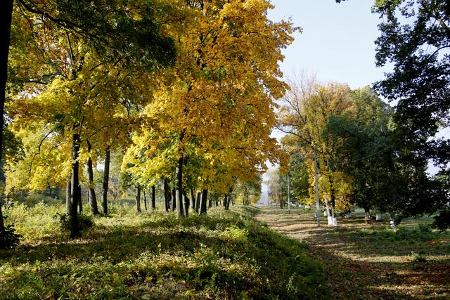 Губернатор предложил создавать музеи растений в белгородских сёлах