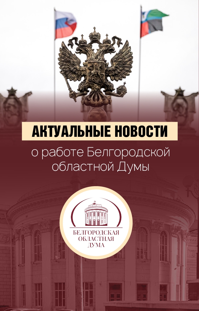 Баннер Белгородкой облдумы