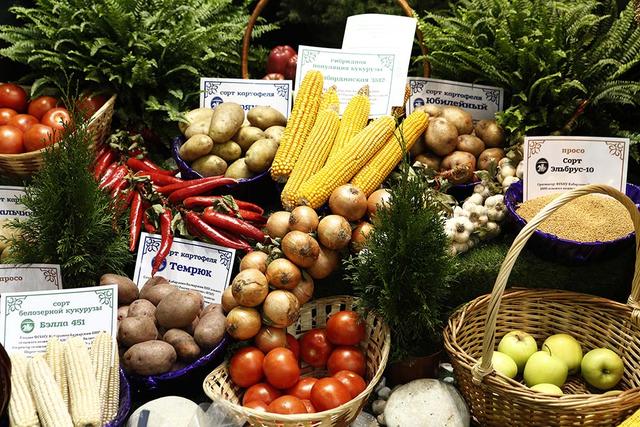 В Белгородской области предложили создать биржу сельхозпроизводителей 
