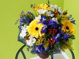 Белгородский цветочный салон «Флорист.ру» встретил своих первых покупателей - Изображение 4
