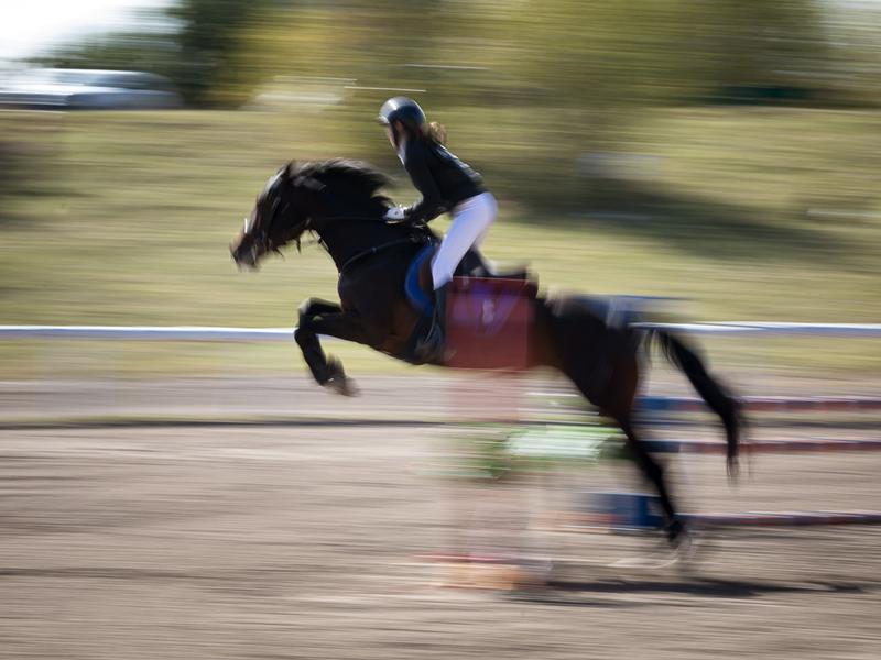 В Белгороде прошёл Кубок губернатора по конному спорту (фоторепортаж)