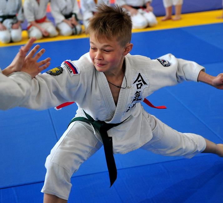В Белгороде прошли первые детско-юношеские игры боевых искусств - Изображение 5