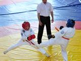 В Белгороде прошли первые детско-юношеские игры боевых искусств - Изображение 8