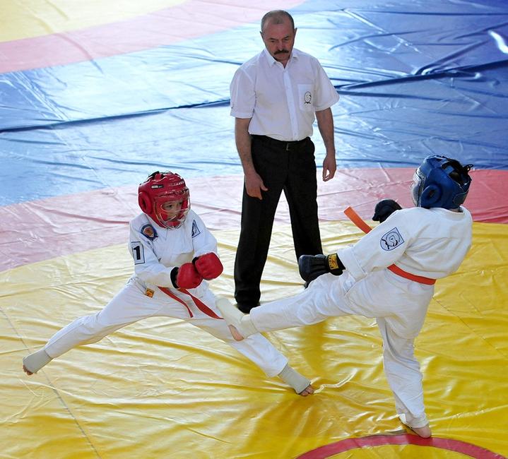 В Белгороде прошли первые детско-юношеские игры боевых искусств - Изображение 8