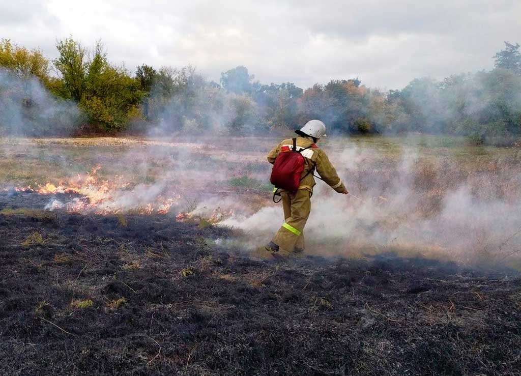 За сутки в Белгородской области пожарные ликвидировали 28 ландшафтных пожаров