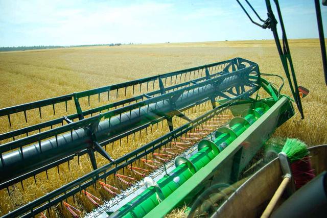 «Мираторг» завершает уборку ранних зерновых в Белгородской области