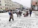 Белгород встречает первый снег - Изображение 6