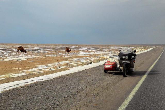Белгородец проехал на мотоцикле более 3,8 тысячи км, чтобы навестить бабушку