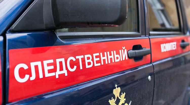 Александру Бастрыкину доложили о расследовании дела банды подростков из Белгорода