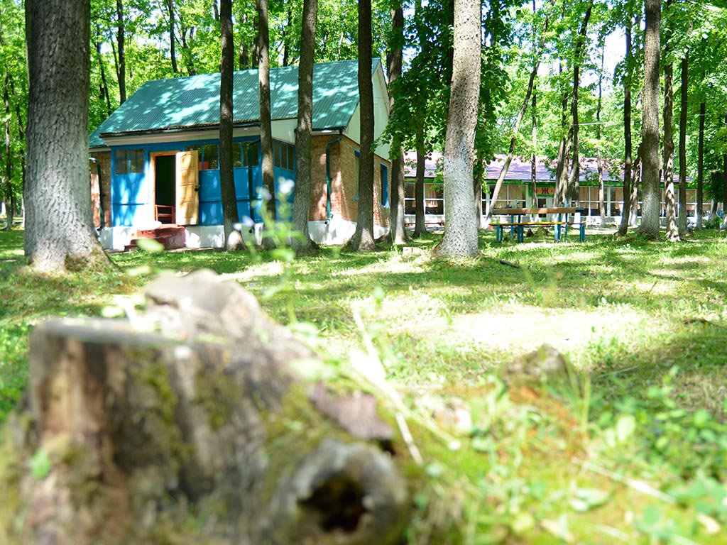 В Белгородской области не будет дистанционных летних лагерей
