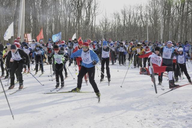 Лыжники Белгородской области готовятся к финалу Кубка губернатора