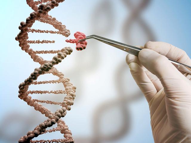 Код жизни. Что такое ДНК и как она влияет на жизнь человека