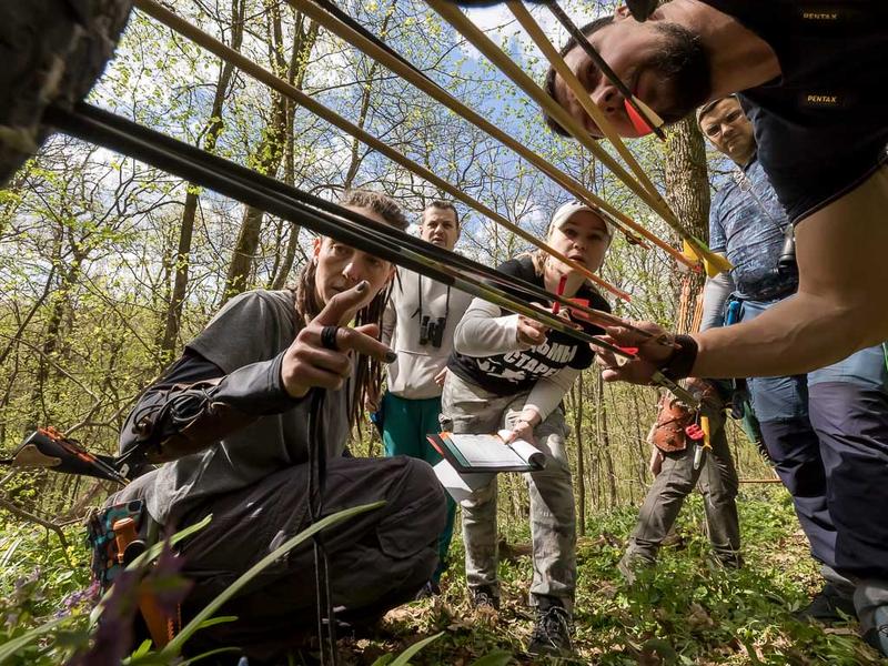В Белгородской области прошёл турнир по 3D-стрельбе из лука (фоторепортаж)
