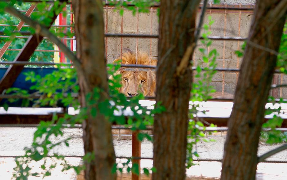 Один день из жизни обитателей белгородского зоопарка - Изображение 15