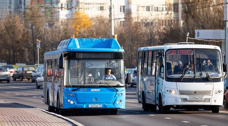 Общественный транспорт Белгородской области попал в «Яндекс.Карты»