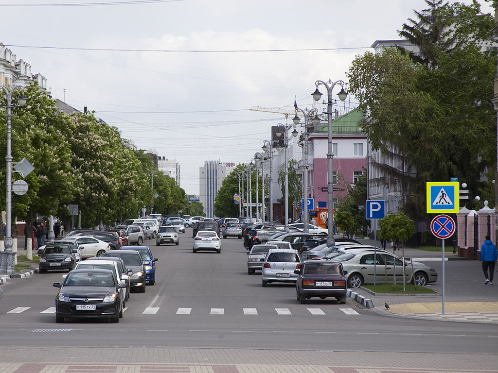 Белгородцы больше других россиян удовлетворены безопасностью дорожного движения