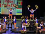 В Губкине прошёл третий чемпионат Белгородской области по чирлидингу - Изображение 8