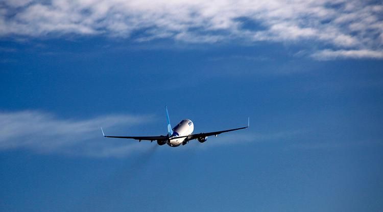 Три авиакомпании намерены начать полёты из Белгорода в Египет