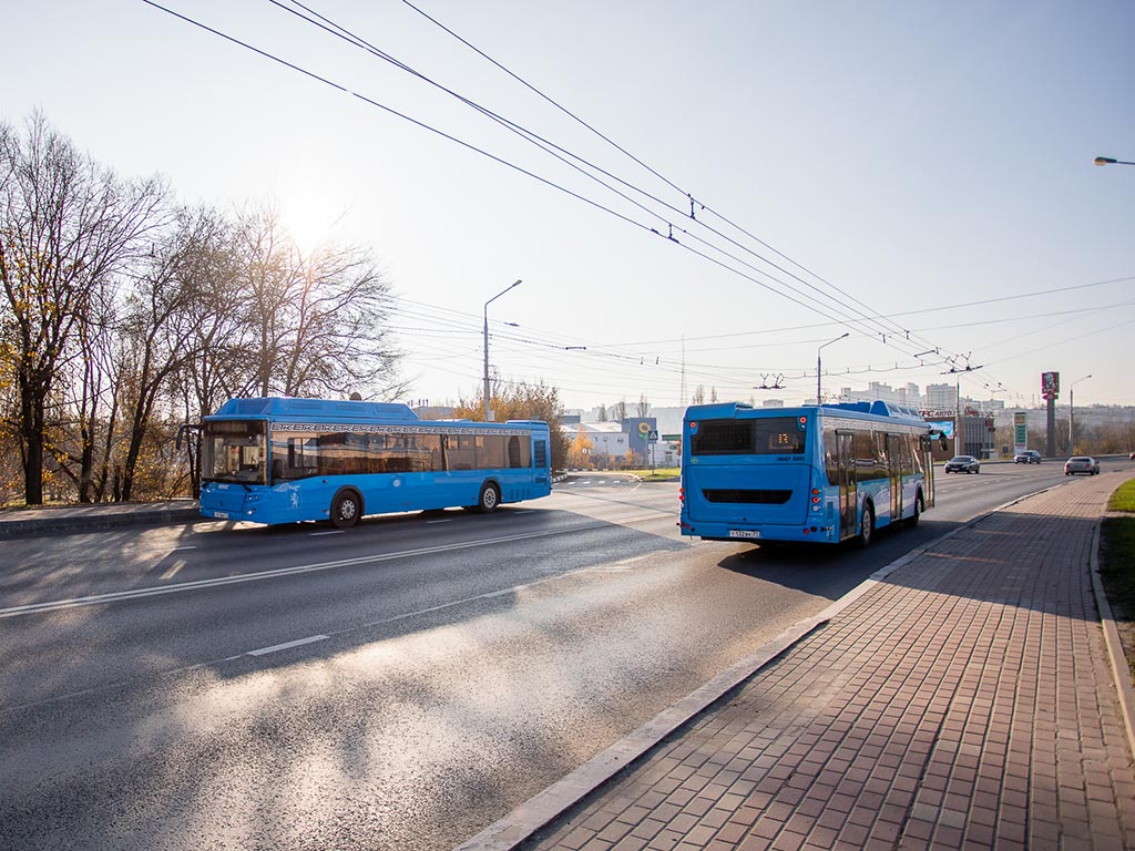 100 новых больших автобусов для Белгородской агломерации поставят до 24 декабря