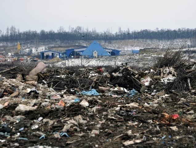 В Белгородской области за год устранили 119 стихийных свалок