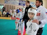 В Белгороде прошли первые детско-юношеские игры боевых искусств - Изображение 13