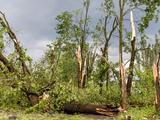 В первый день лета на Белгородскую область обрушился ураган (фоторепортаж)