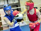 В Белгороде прошёл боксёрский юношеский турнир памяти Николая Ватутина - Изображение 13