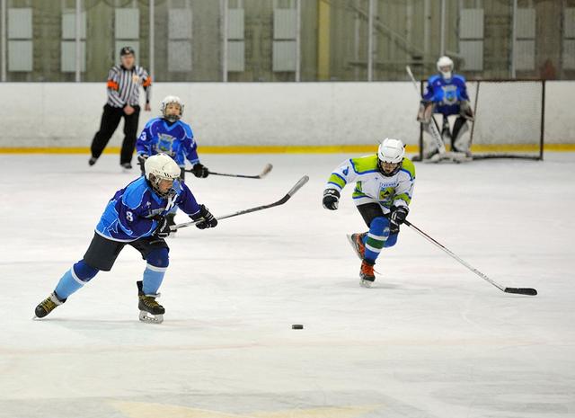 На всероссийской «Золотой шайбе» выступят хоккеисты из Белгорода и Губкина