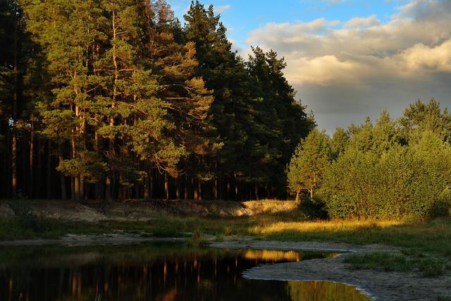 Белгородские власти проведут переоценку стоимости лесов и водоёмов