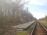 Рельсы, шпалы: в День железнодорожника вспоминаем о судьбе забытых белгородских станций
