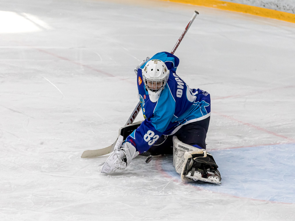 Хоккейная команда «Белгород» опустилась на четвёртое место конференции «Запад»