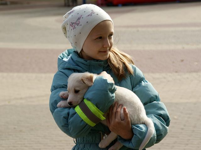 В Белгороде на выставке бездомных животных 21 собака обрела новый дом
