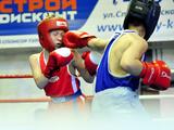 В Белгороде прошёл боксёрский юношеский турнир памяти Николая Ватутина - Изображение 10