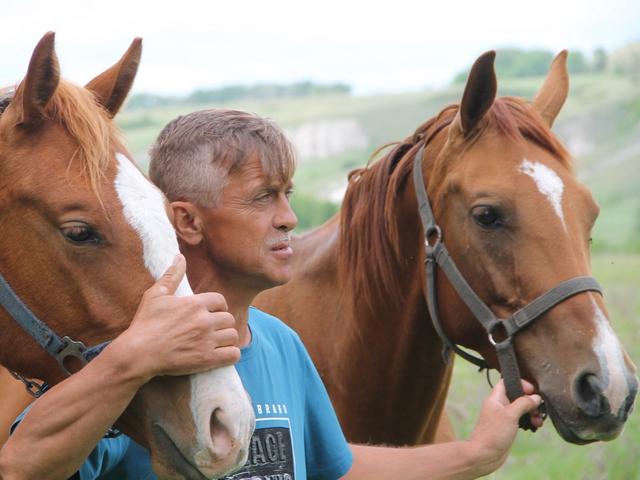Товарищ боевой. Как корочанец Василий Москаленко связал свою жизнь с лошадьми