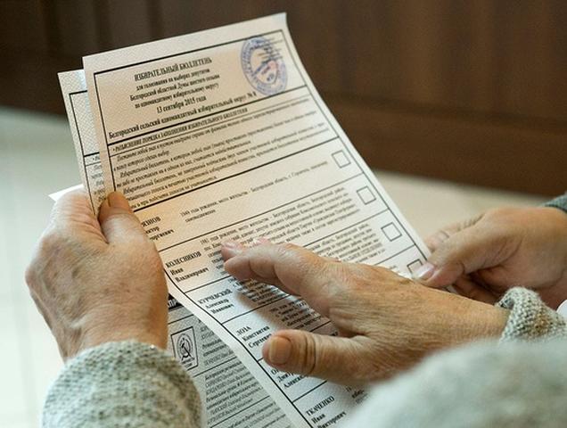 На региональных выборах в Белгородской области можно будет голосовать досрочно