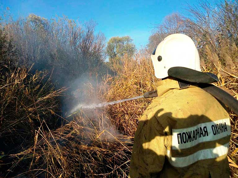 Причина крупных пожаров в Белгородской области – человеческий фактор