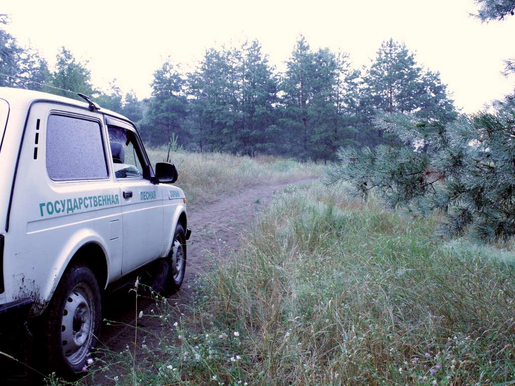 В Белгородской области заработала система видеонаблюдения «Лесохранитель»