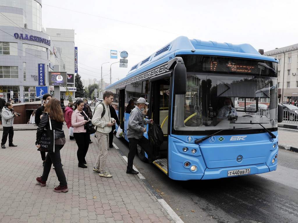 В Белгороде ветераны с сопровождающими могут ездить в общественном транспорте бесплатно